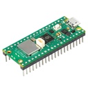 Raspberry Pi Pico W